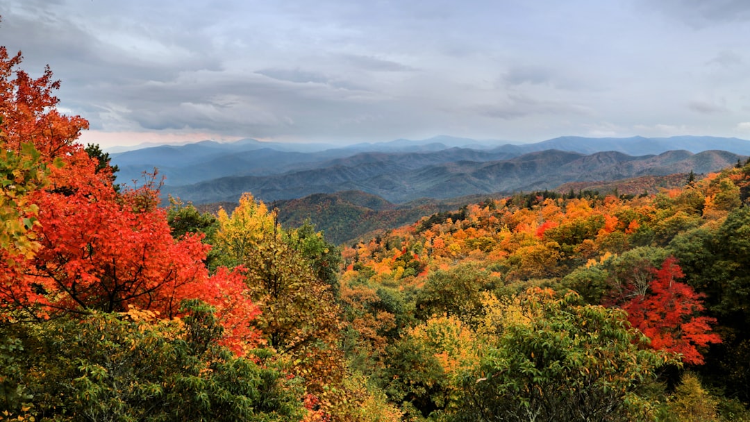 Blue Ridge Mountains near Asheville, North Carolina