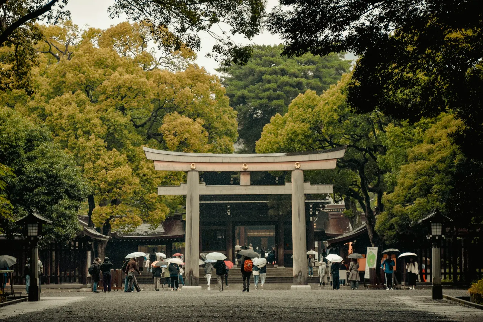 Visitors with umbrellas beneath the large wooden torii gate at Meiji Shrine, surrounded by trees