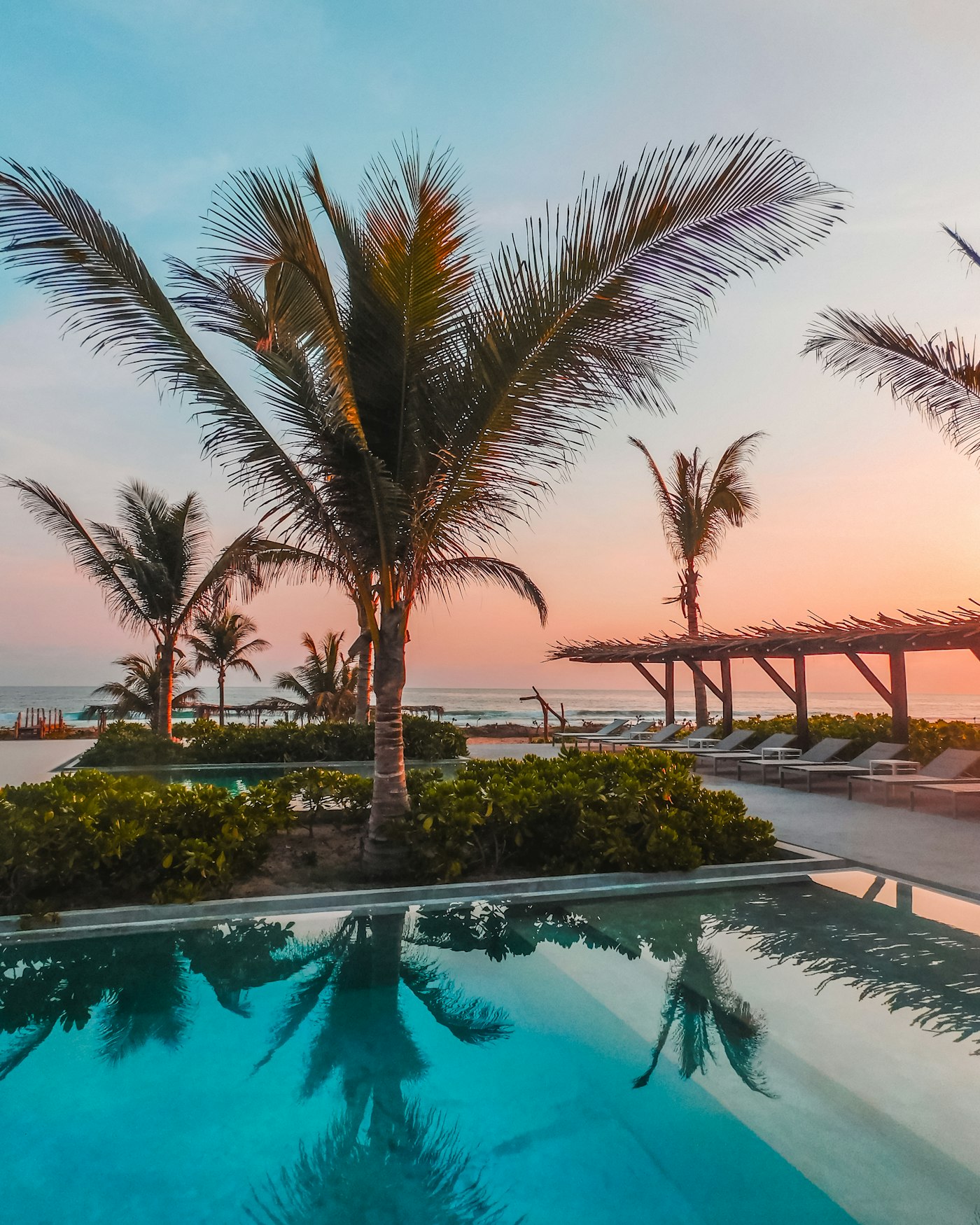 Resort pool lined with palm trees at sunset