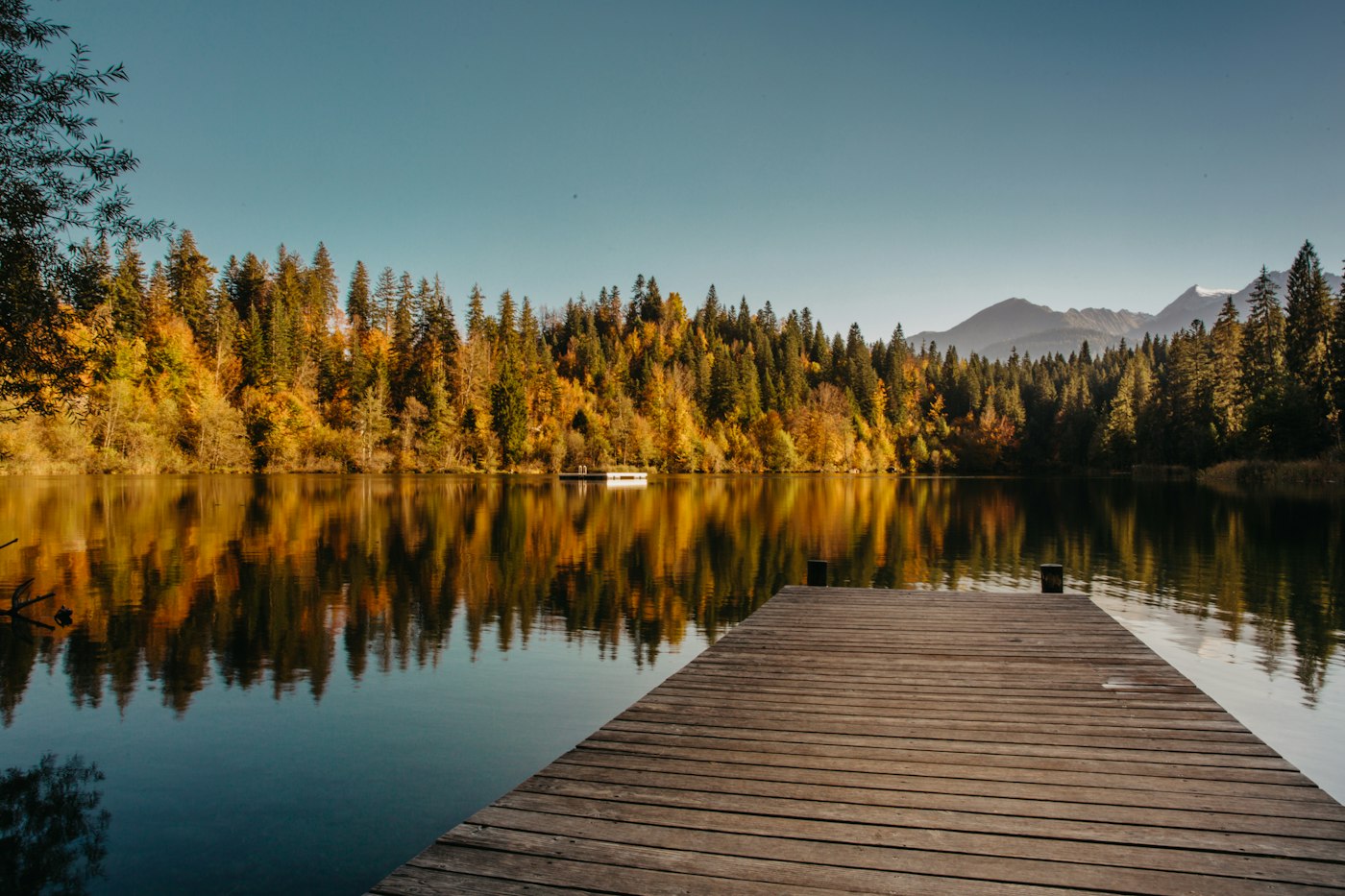 Wooden dock on a calm lake framed by autumn trees